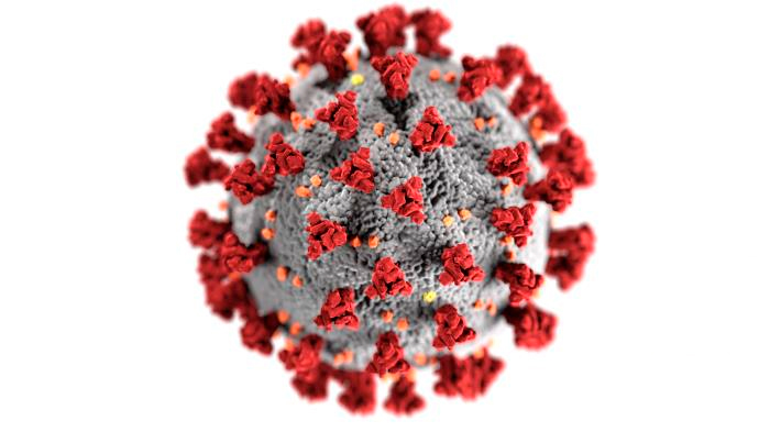 SARS-CoV-2: Coronavirus 2019 (COVID-19)